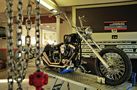 Harleys und Buells