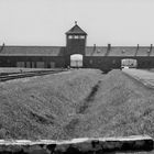 "NIE WIEDER " darf so etwas geschehen 76 Jahre Befreiung KZ Auschwitz