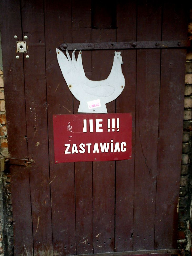 nie zastawia&#263;