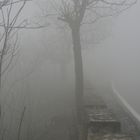 Niebla