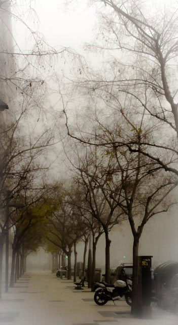 "Niebla"