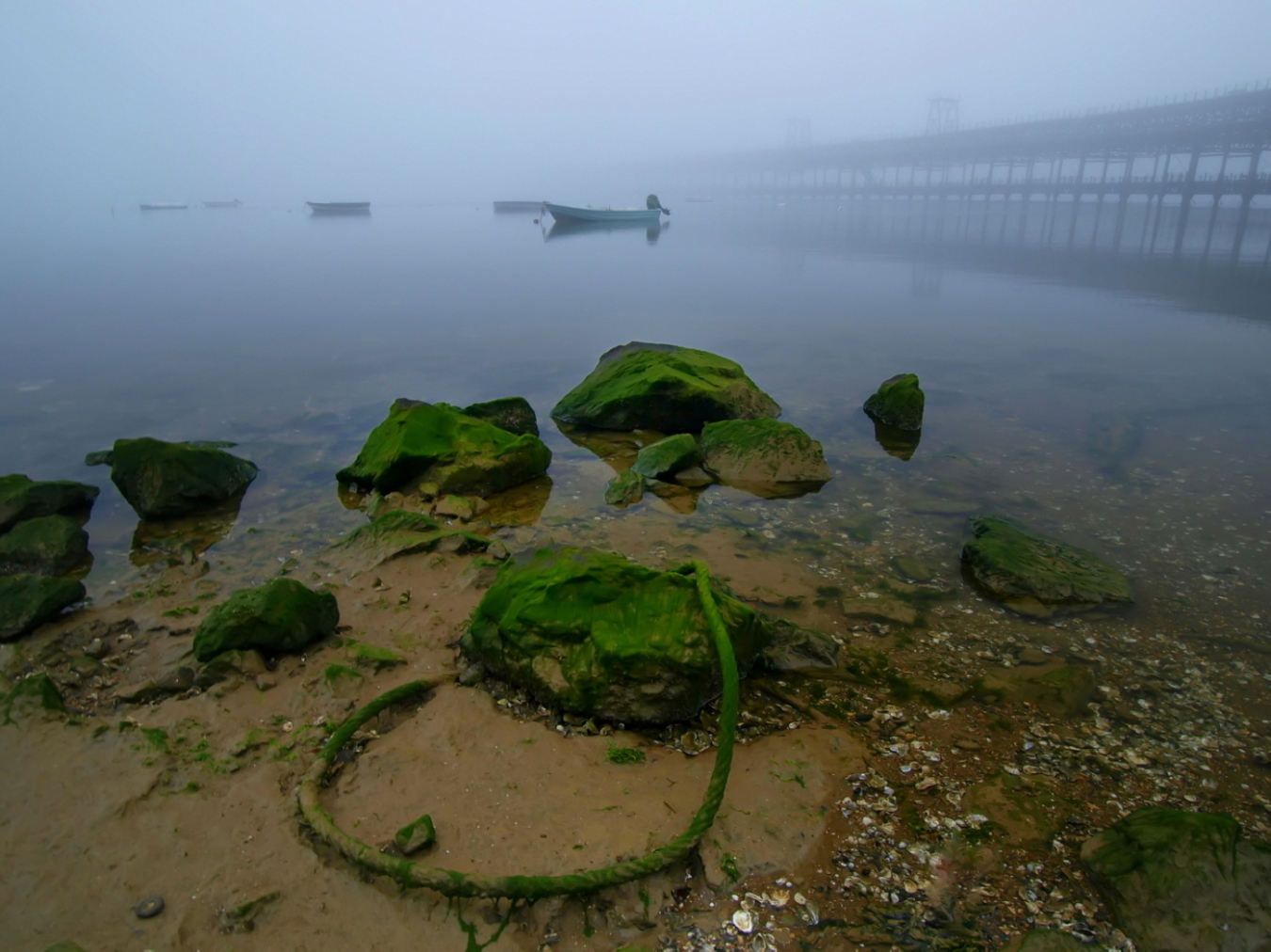 Niebla