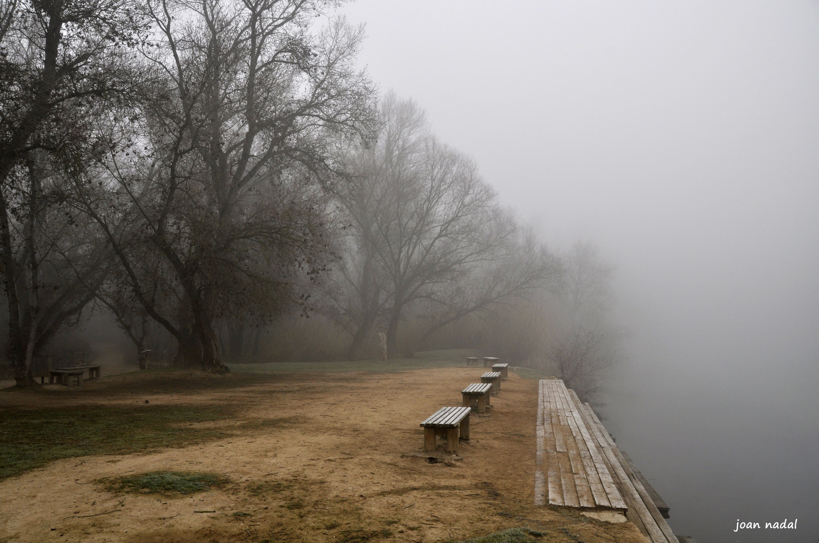 NIebla