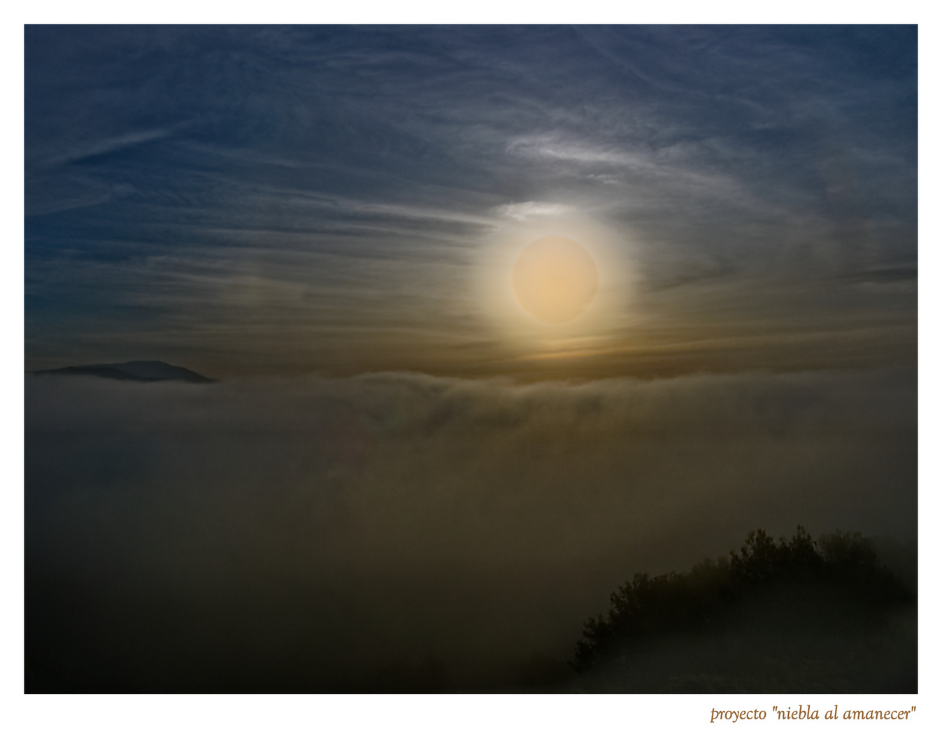 Niebla al amanecer