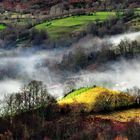 Niebla. Asturias.