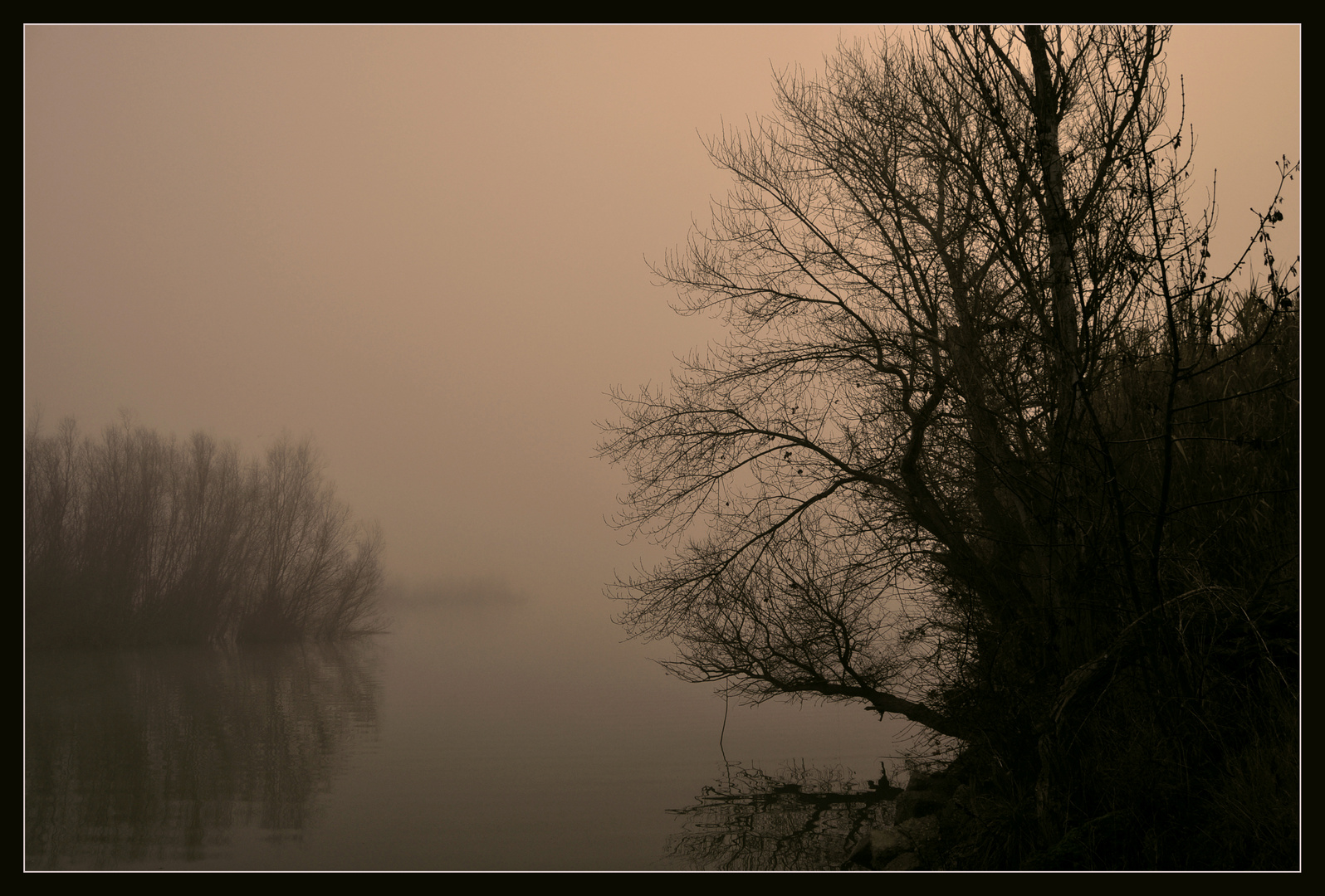 Niebla de mañana