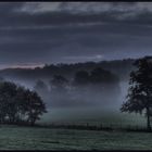 niebla de otoño