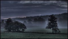 niebla de otoño