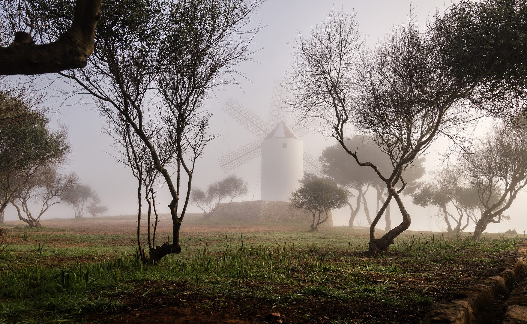 Niebla de Primavera en " MENORCA "