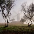 Niebla de Primavera en " MENORCA "