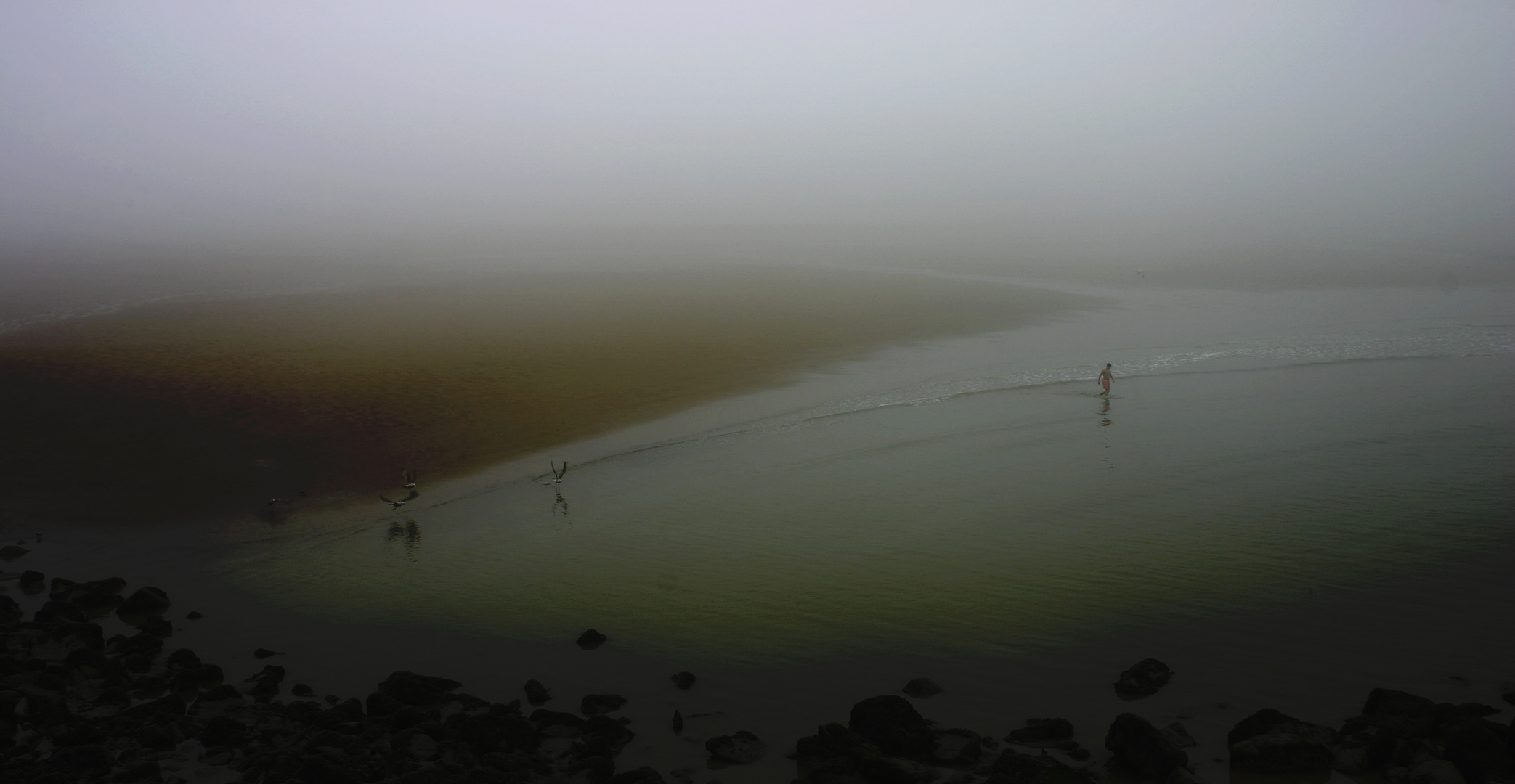 niebla del mar