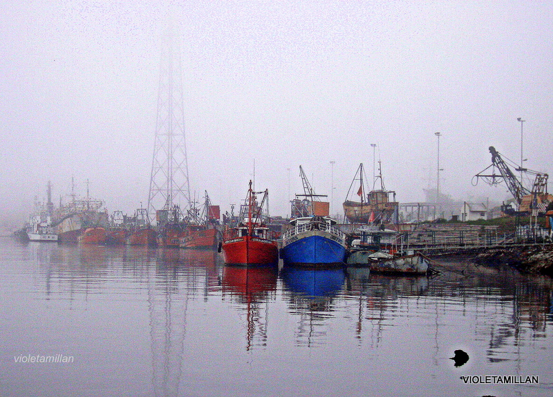 NIEBLA DEL RIO