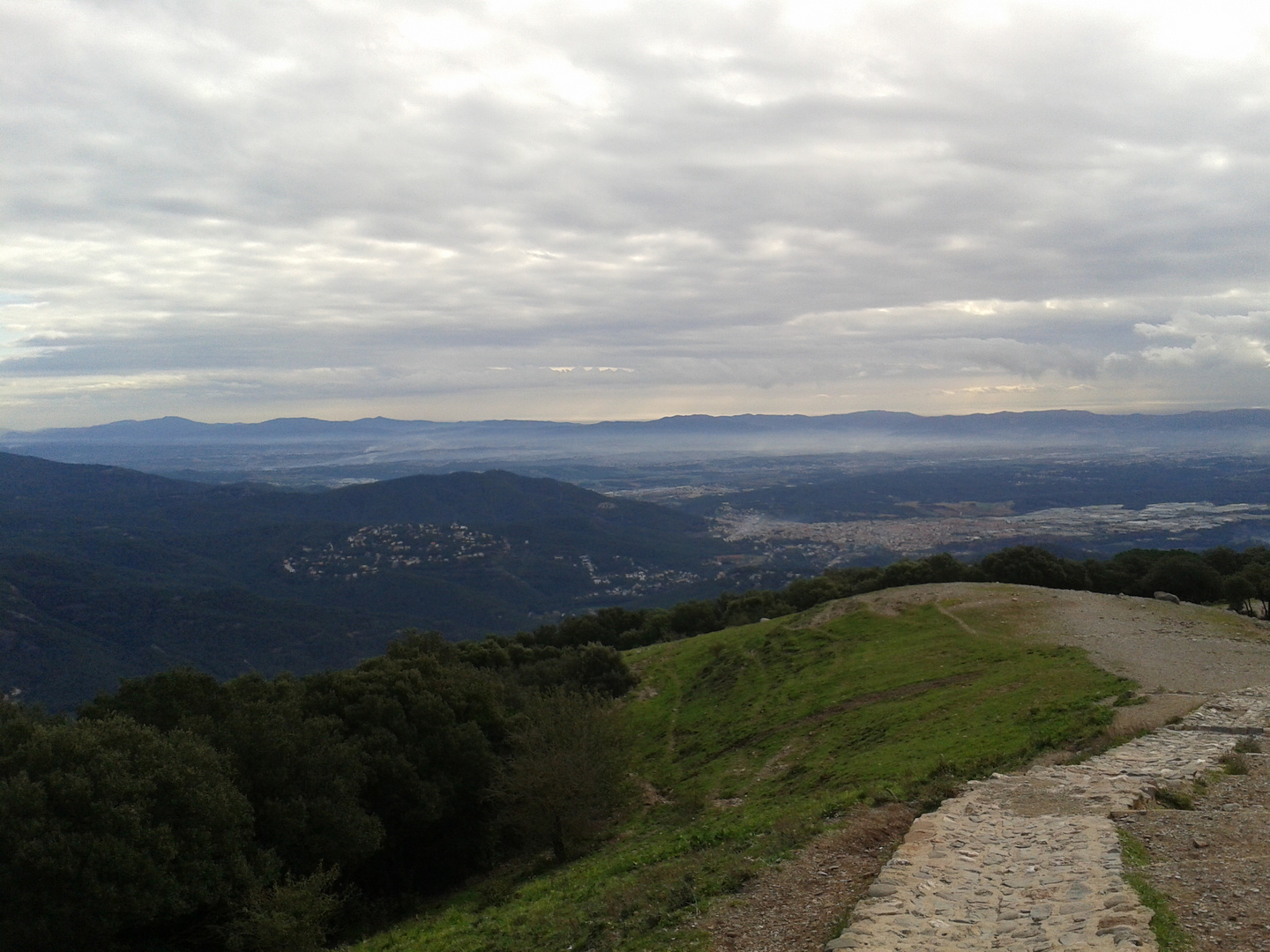 Niebla Dispersa