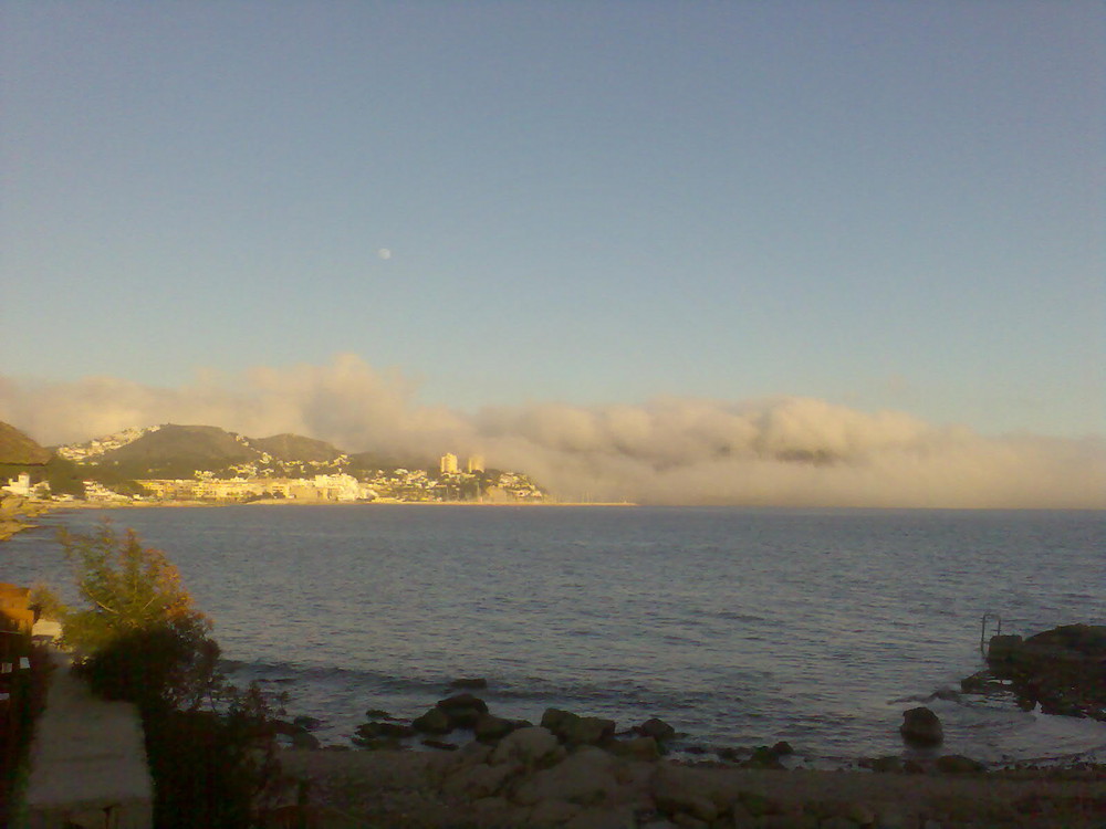 NiEbLa