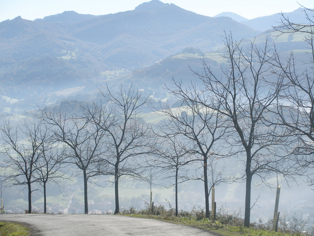 Niebla en Baztán.