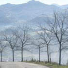 Niebla en Baztán.