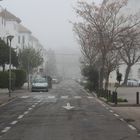 niebla en calle de sentido único