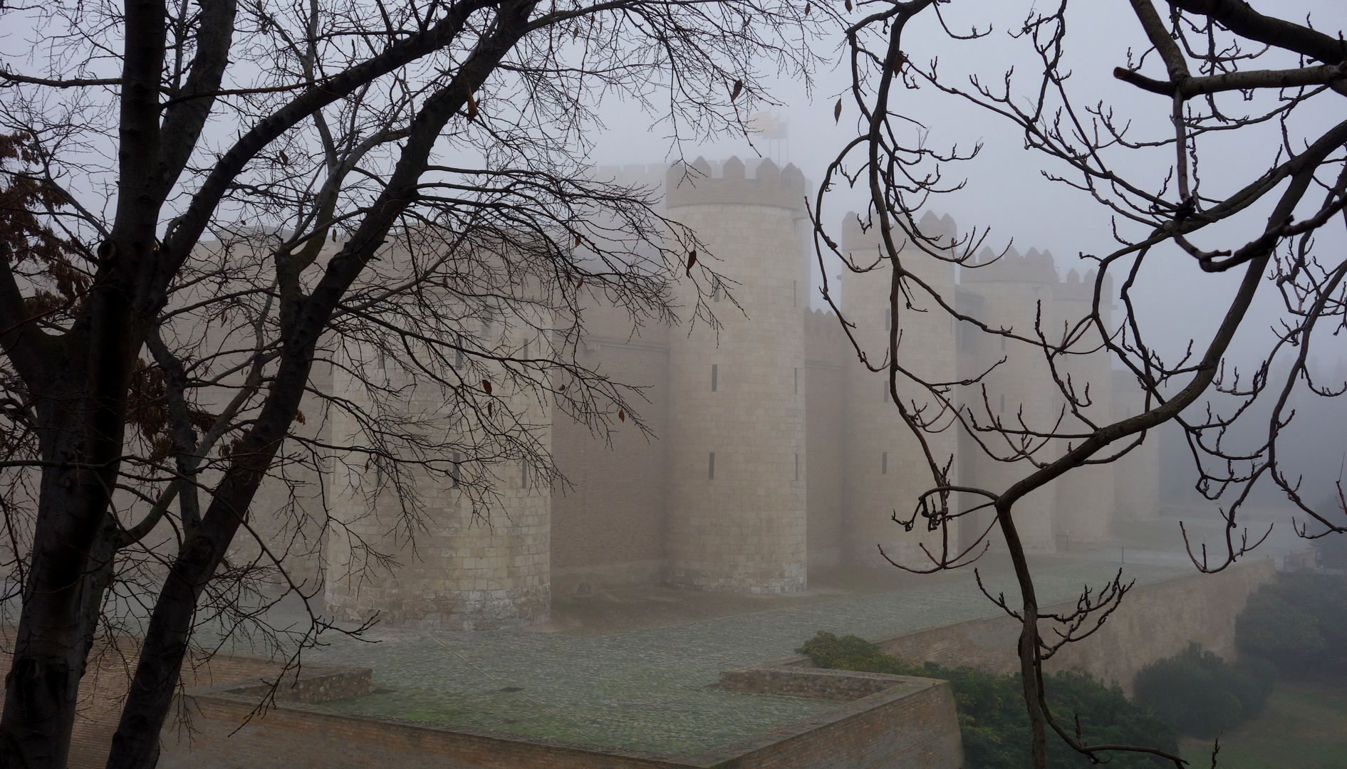 niebla en el castillo....................