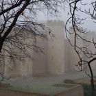niebla en el castillo....................