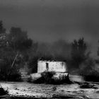 Niebla en el Guadalquivir (Córdoba)