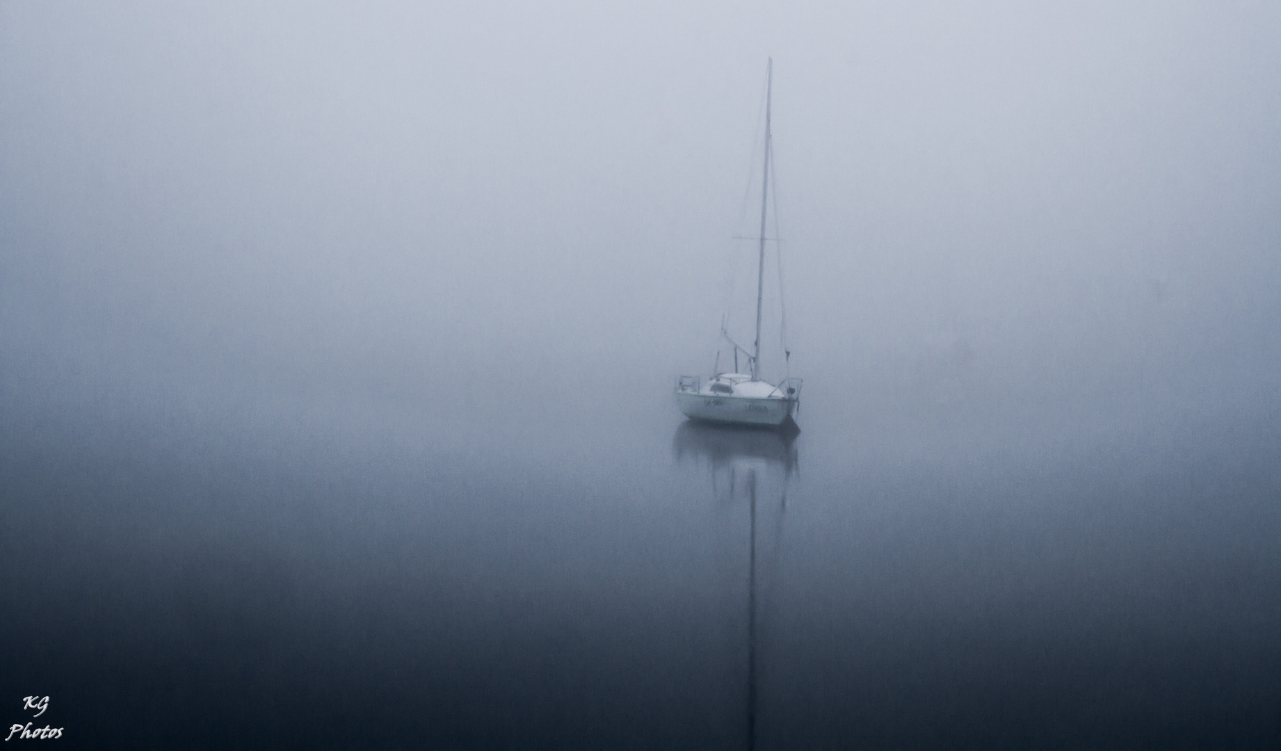 Niebla en el Pantano 