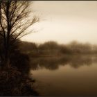 Niebla en el pantano