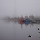 NIEBLA EN EL QUEQUEN