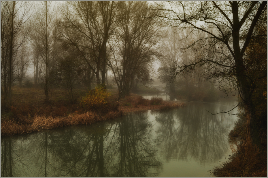 Niebla en el rio