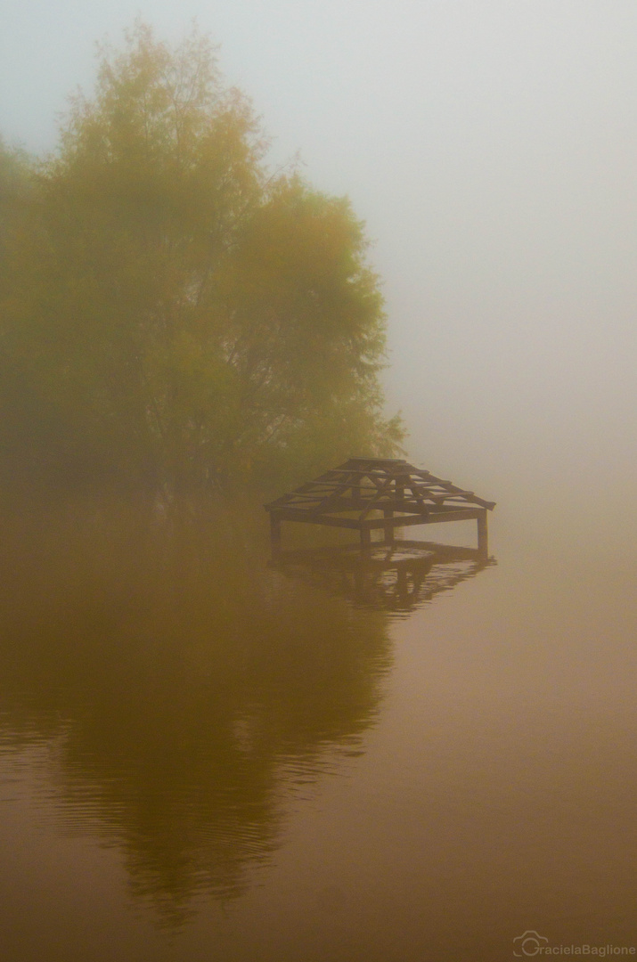 NIebla en el rio crecido.