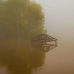 NIebla en el rio crecido.