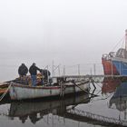 niebla en el rio