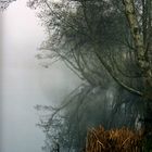 NIEBLA EN EL RÍO MIÑO