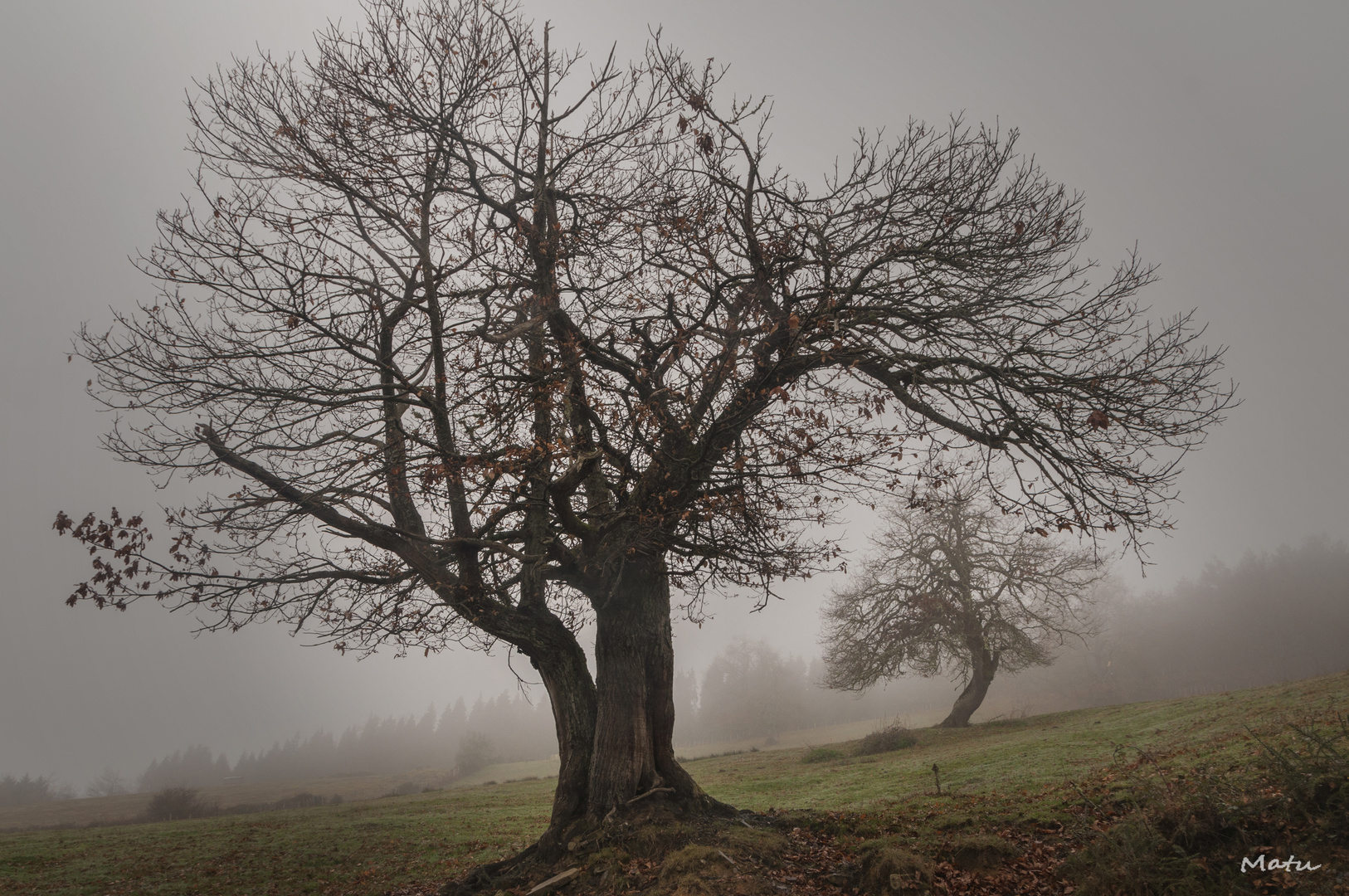 Niebla en Gorbeia