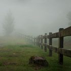Niebla en Gorbeia 