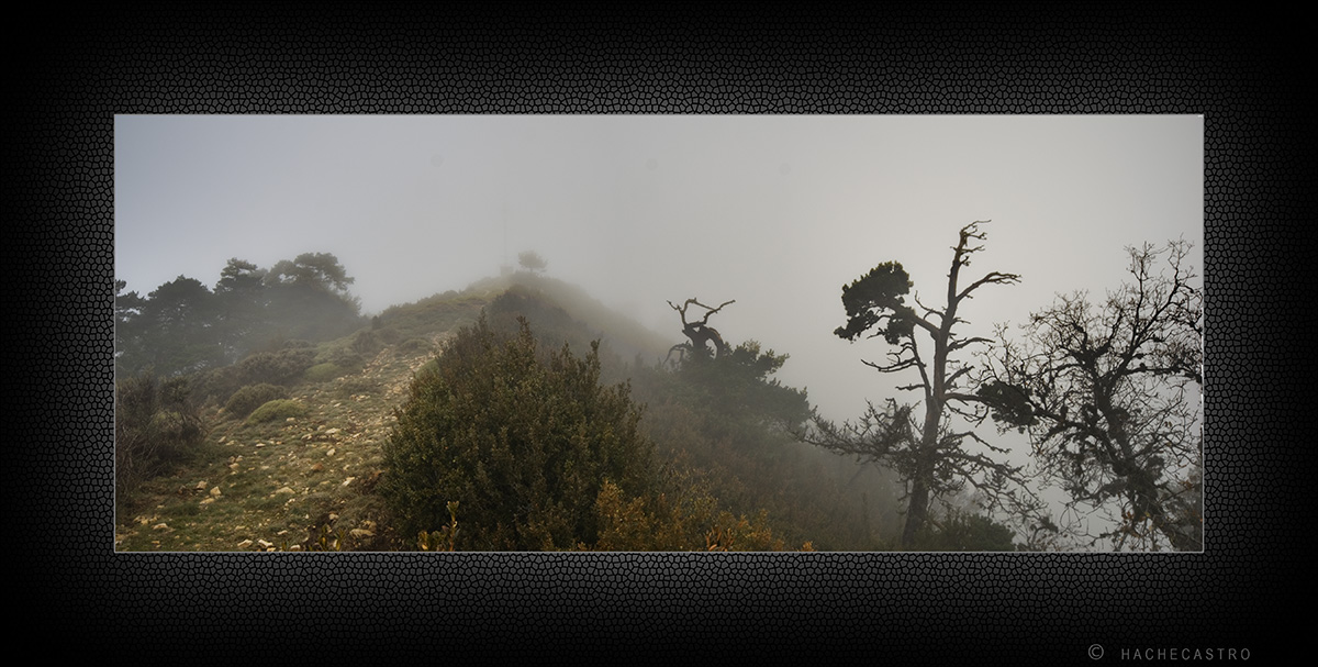 Niebla en la cumbre