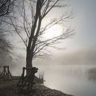 niebla en la lagunas de ruidera 1