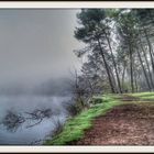 NIEBLA EN LAS LAGUNAS