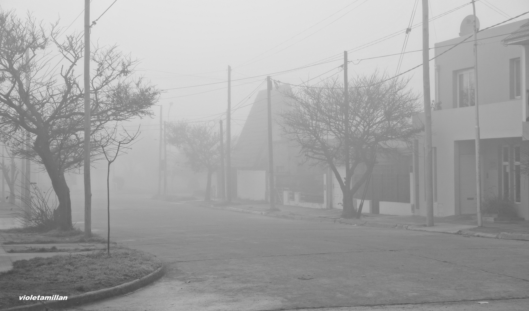 niebla en mi barrio