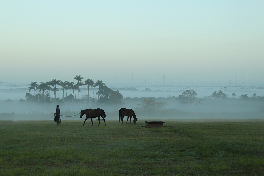 Niebla en San Antonio de los Baños