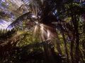 Niebla en Te Puia ( Rotorua - Nueva Zelanda ) von Miguel-Angel Ramón maramon