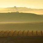 NIEBLA EN TIERRA DEL VINO