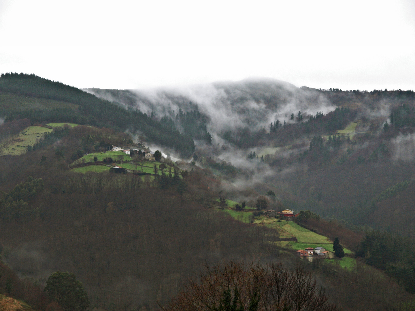 Niebla entre montañas