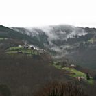 Niebla entre montañas