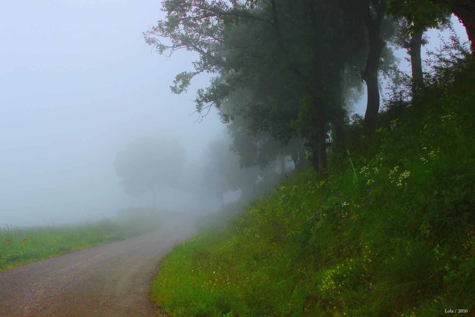 NIEBLA