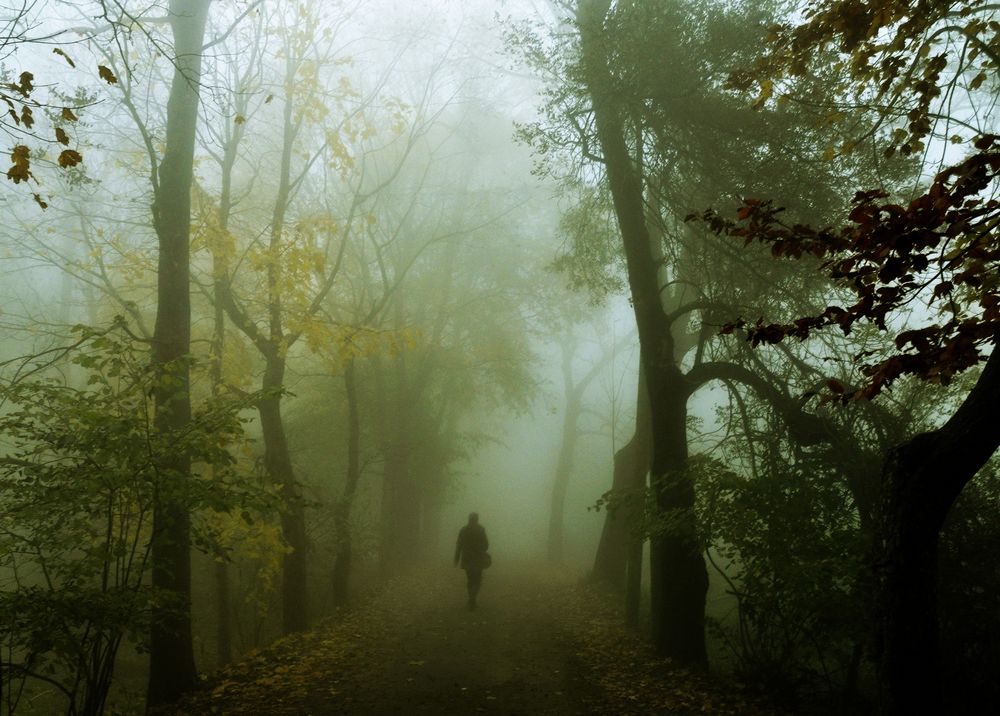 NIEBLA de carmecorominas 