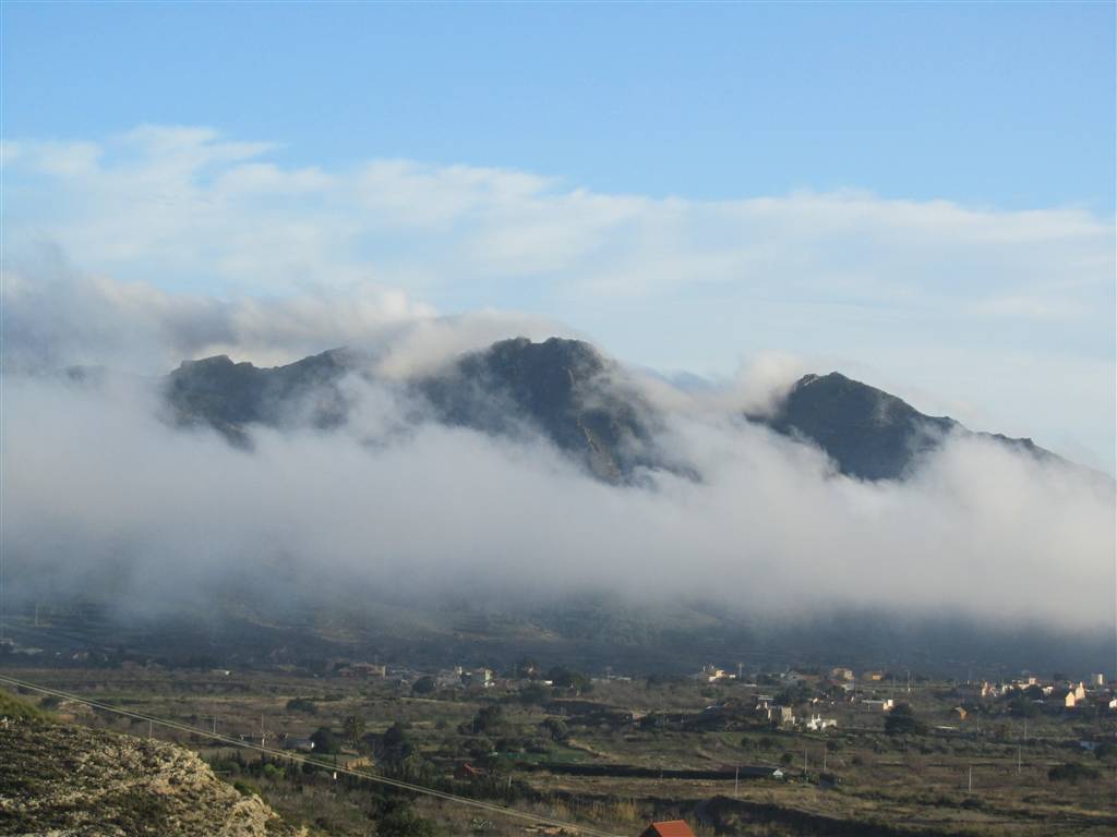 Niebla- Portus