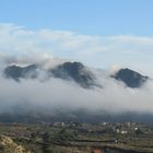 Niebla- Portus