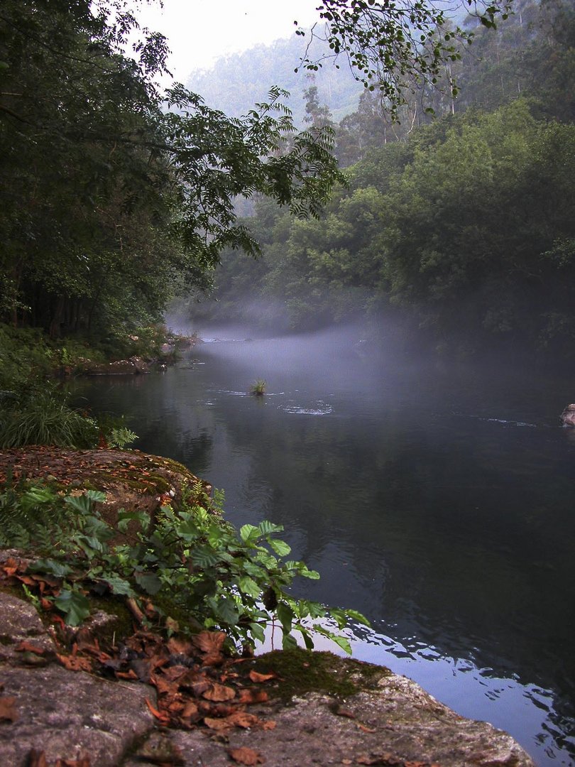 "Niebla sobre el Eume"