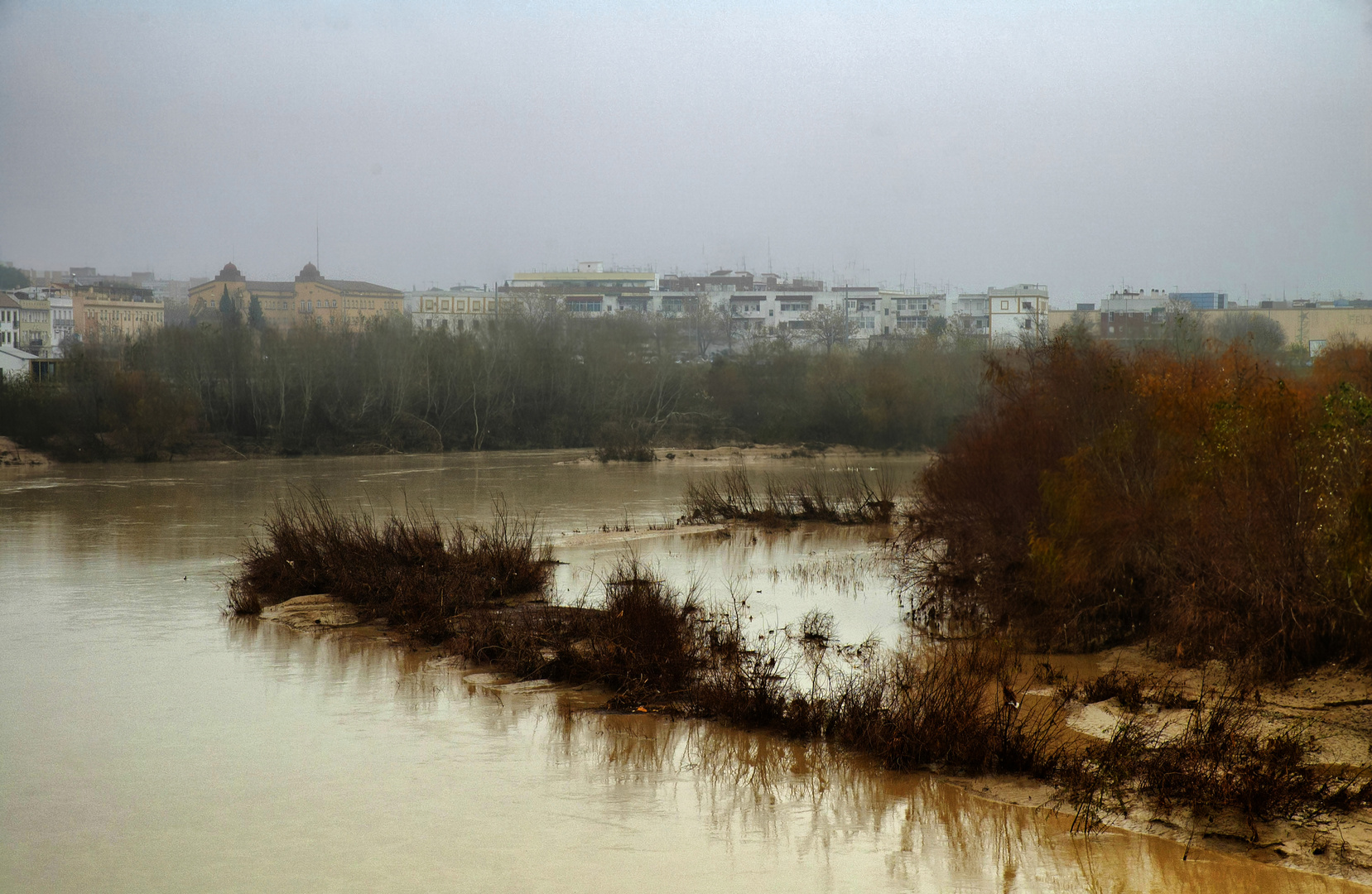 NIEBLA SOBRE EL GUADALQUIVIR