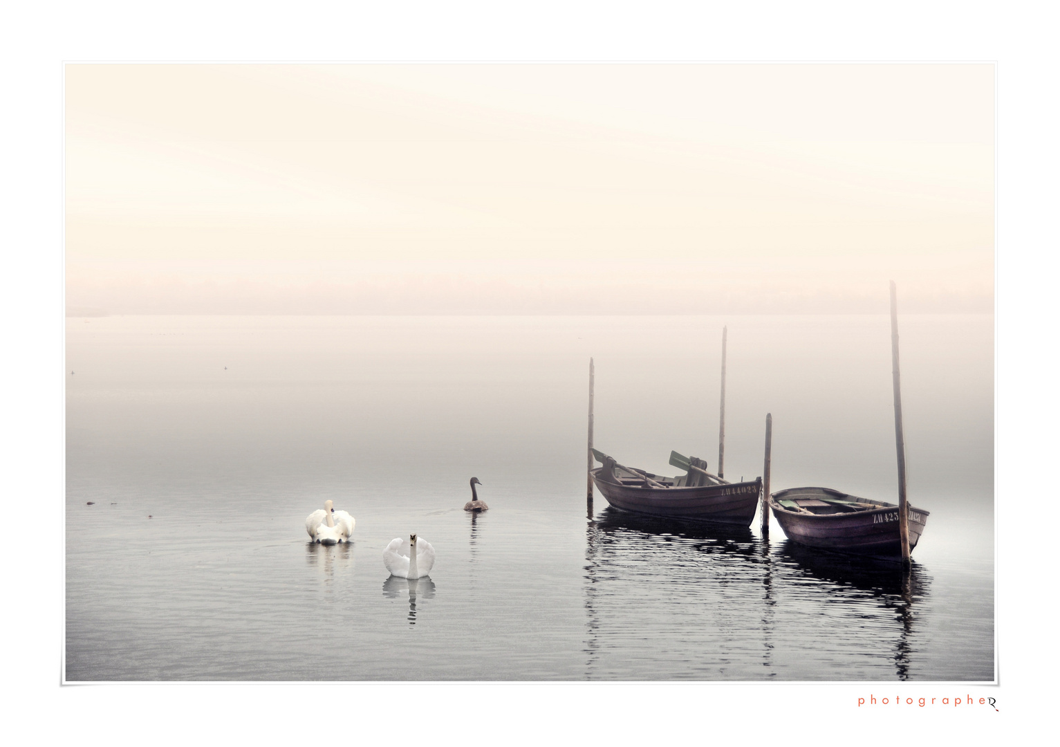 Niebla sobre el lago - Nebel am See